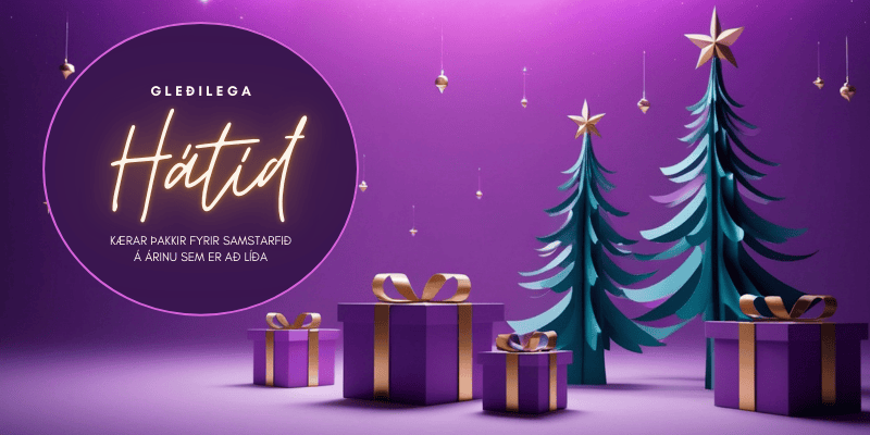 2025 Hátíðarkveðja